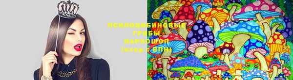 каннабис Арсеньев